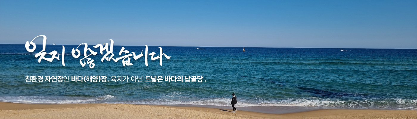 이미지명