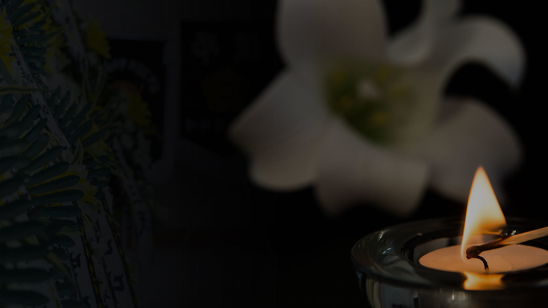 <img src='/img_up/shop_pds/ehompy0542/design/2023/main_logo-.png' class='main_text text-focus-in'> |신뢰와 정성을 넘어 합리적인 장례서비스|사랑하는 이를 떠나 보낸 유가족의 슬픔을 누구보다<br>잘 알기에 유가족의 마음을 먼저 생각하겠습니다.<br>공공상조(주)는 신뢰와 정성을 넘어 합리적인 상조 서비스로 유가족의 아픈 마음을 위로하겠습니다.